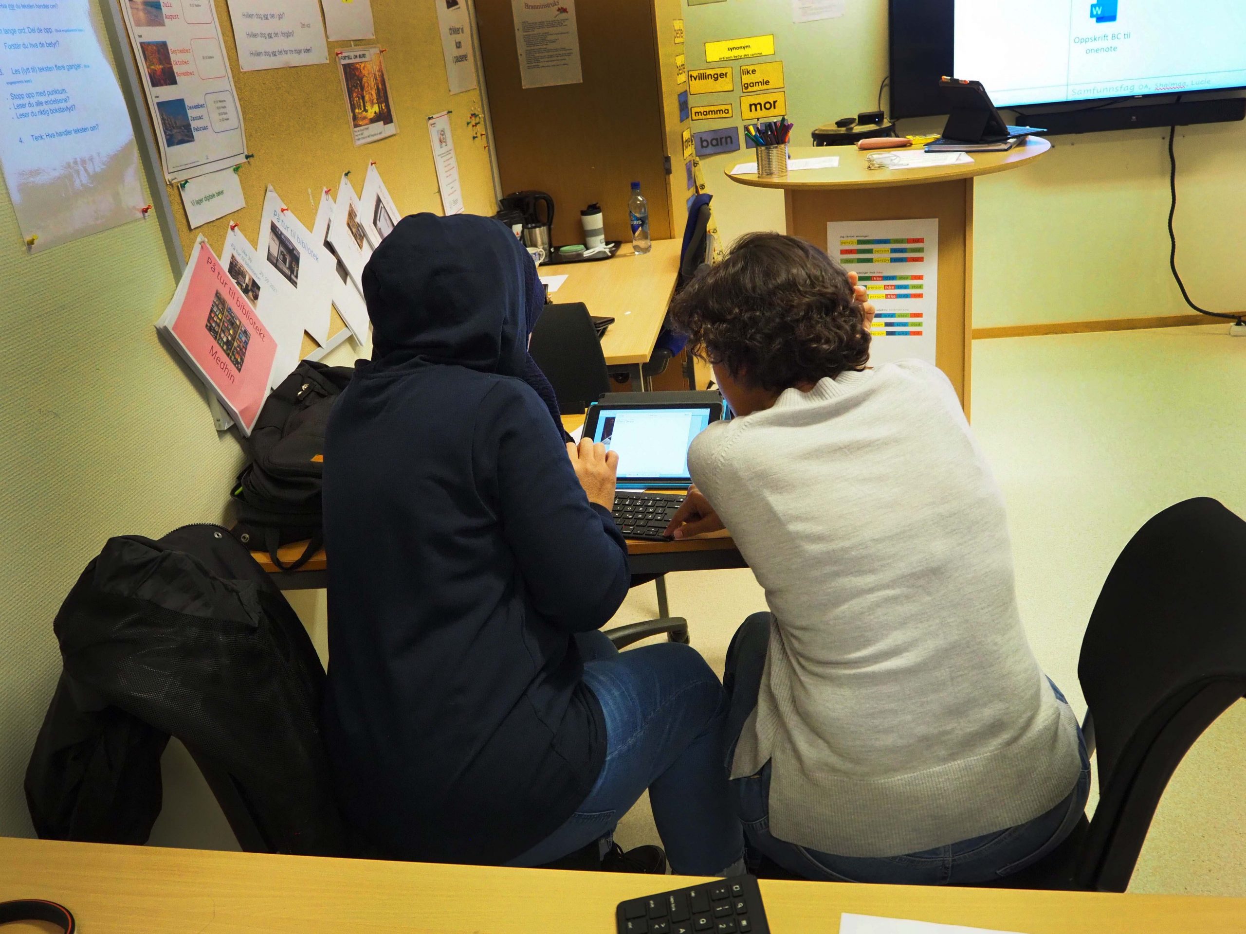 En deltaker sitter sammen med flerspråklig assistent.