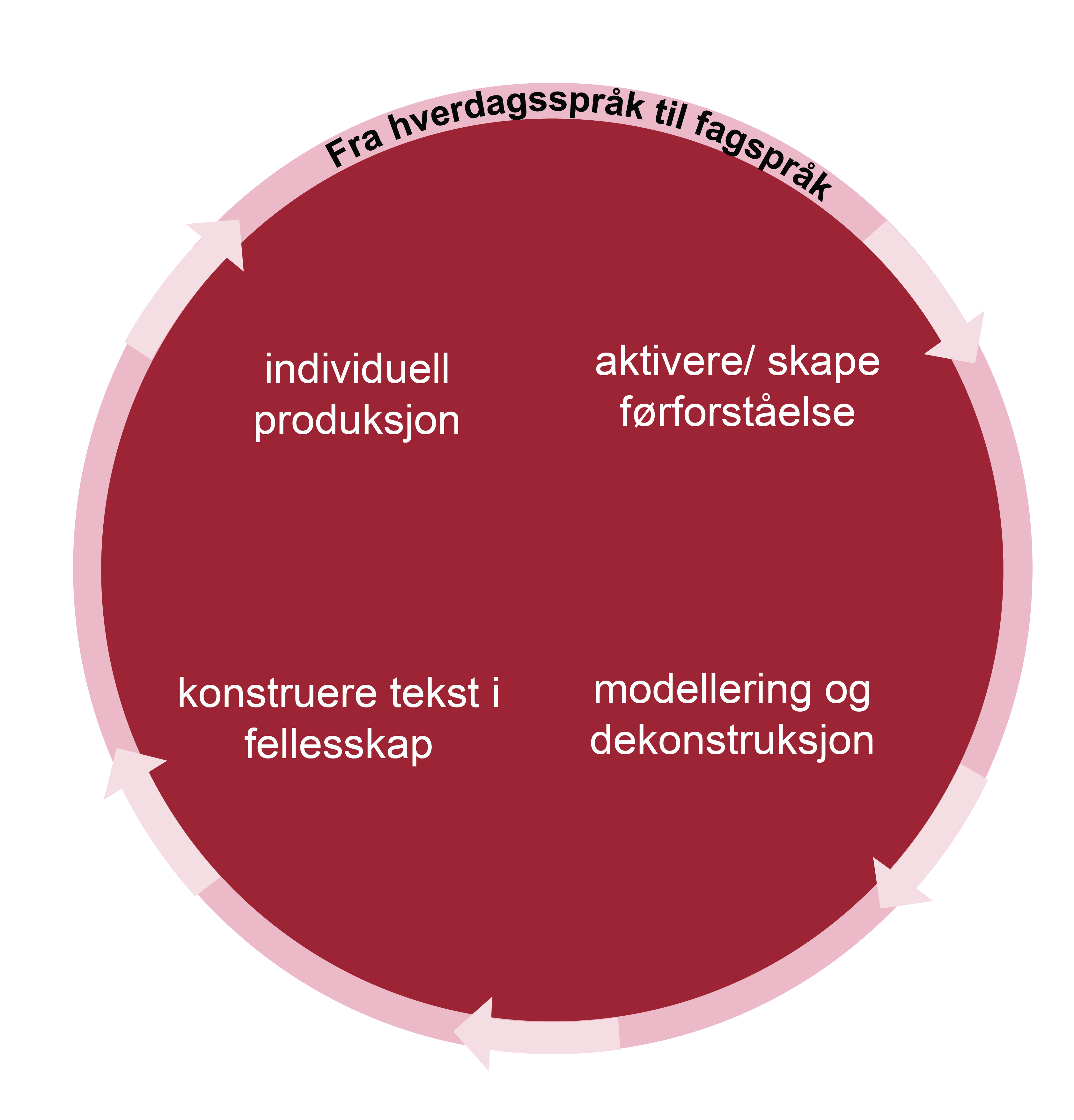 Illustrasjon av modellen sirkelen for undervisning og læring. En sirkel. På utsiden av sirkelen går det piler for å illustrere at sirkelen går rundt. Inne i sirkelen står det: aktivere førforståelse, modellering og dekonstruksjon, konstruere tekst i fellesskap, individuell produksjon. På utsiden står det: fra hverdagsspråk til fagspråk