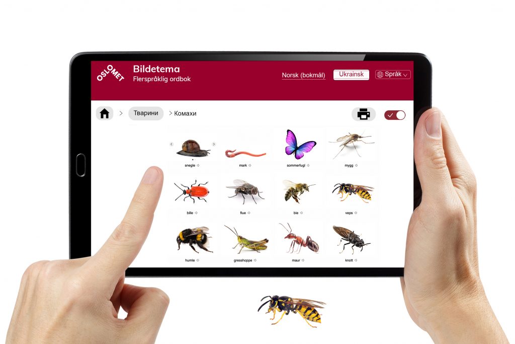 Foto av hender som holder et nettbrett. På nettbrettet er det slått opp på en side på småkryp. Under nettbrettet sitter en veps.