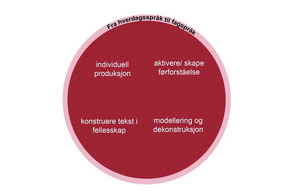 Pedagogisk modell: Sirkelen for undervisning og læring. Ytterts i sirkelen står det: fra hverdagsspråk til fagspråk. Øverst til høyre i sirkelen står det aktivere/ skape førforståelse. Nederst til høyre står det modellering og demonstrasjon. Nederst til venstre: konstruere tekst i fellesskap og øverst til venstre individuell produksjon.