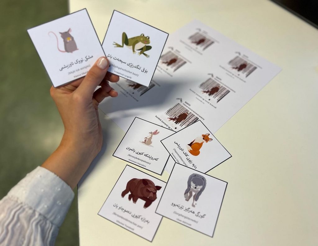 Bildetkort til eventyret Skinnvotten