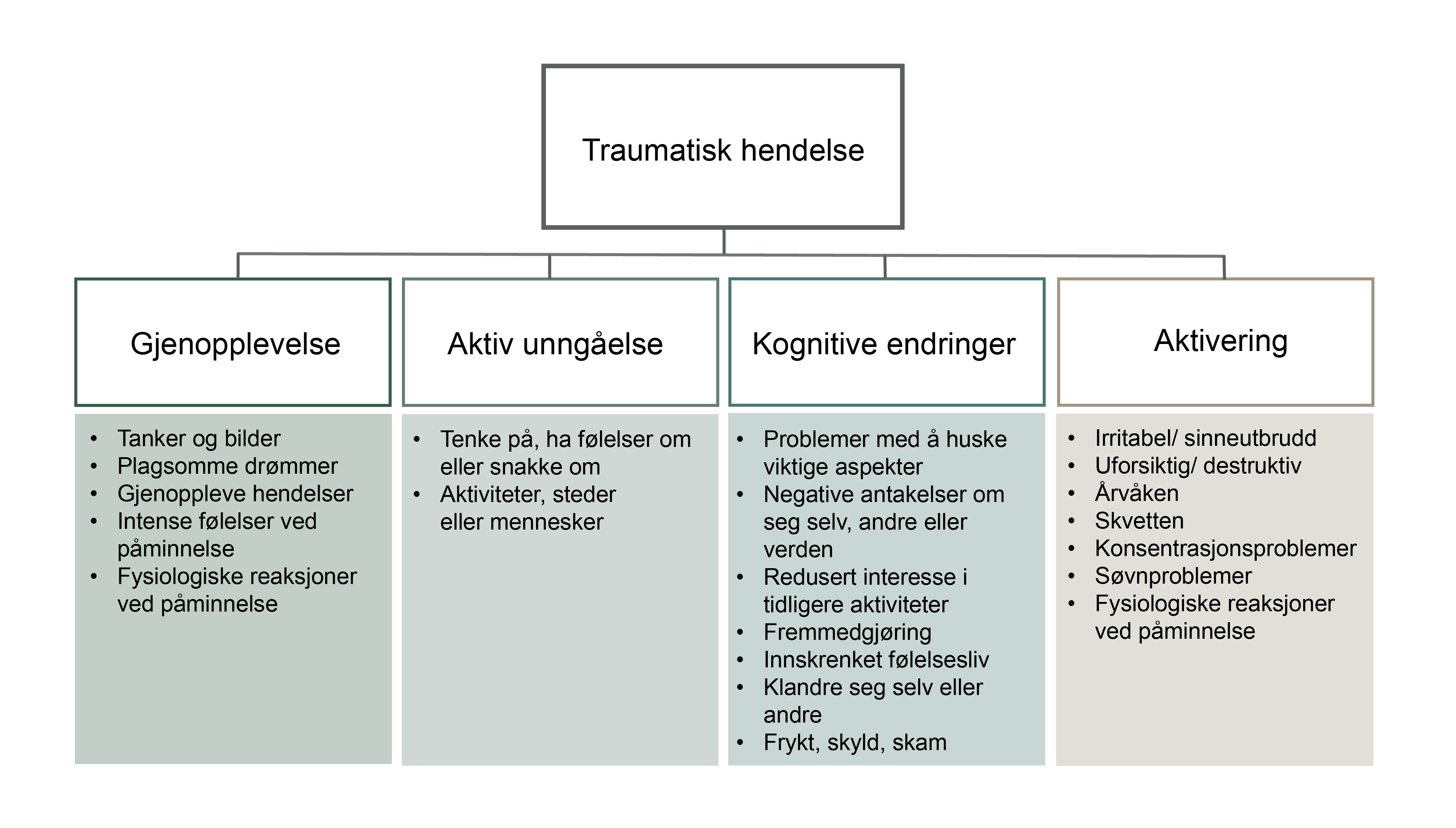 Illustrasjon av en modell som viser ulike reaksjoner på traumatisk stress. I en firkantet boks øverst står det: traumatisk hendelse. Fra denne boksen går det forbindelse ned til fire bokser: Gjenopplevelse, aktiv unngåelse, kognitive endringer og aktivering. Under hver av disse fire boksene er det tekstruter. Under Gjenopplevelse står følgende punkter: Tanker og bilder, Plagsomme drømmer, Gjenoppleve hendelser, Intense følelser ved påminnelse, Fysiologiske reaksjoner ved påminnelse. Under aktiv unngåelse står følgende punkter: Tenke på, ha følelser om eller snakke om, Aktiviteter, stedereller mennesker. Under kognitive endringer står følgende punkter: Problemer med å huske viktige aspekter, Negative antakelser om seg selv, andre eller verden, Redusert interesse i tidligere aktiviteter, Fremmedgjøring, Innskrenket følelsesliv, Klandre seg selv eller andre, Frykt, skyld, skam. Under aktivering står følgende punkter: Irritabel/ sinneutbrudd, Uforsiktig/ destruktiv, Årvåken,
Skvetten, Konsentrasjonsproblemer, Søvnproblemer,
Fysiologiske reaksjoner ved påminnelse