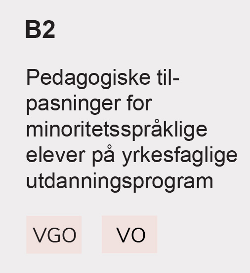 B2 Pedagogiske til- pasninger for minoritetsspråklige elever på yrkesfaglige utdanningsprogram, VGO, VO