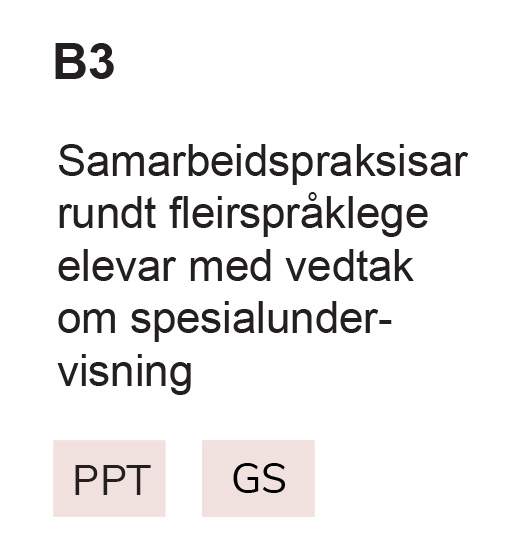 B3 Samarbeidspraksisar rundt fleirspråklege elevar med vedtak om spesialundervisning, PPT