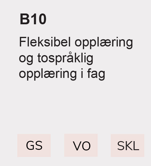 B10 Fleksibel opplæring og tospråklig opplæring i fag, GS, VO, SKL