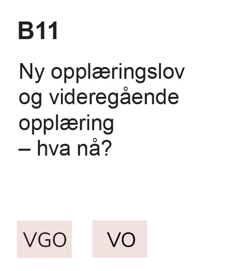 B11 Ny opplæringslov og videregående opplæring – hva nå? VGO, VO