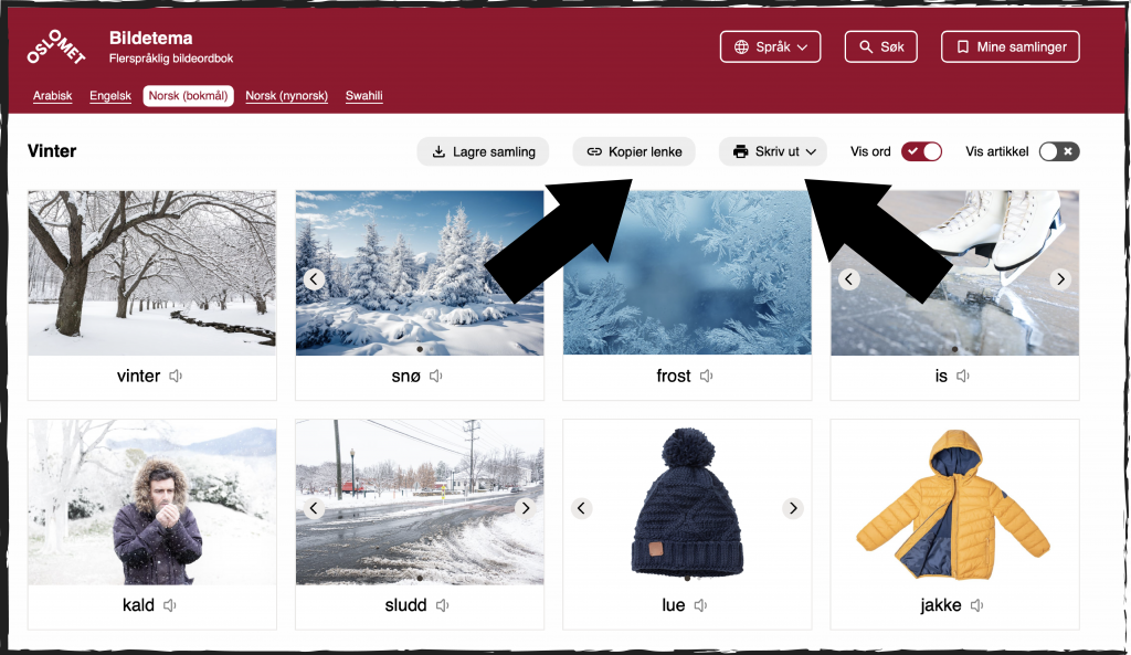 Skjermbilde fra nettsiden Bildetema. I to rekker er det Foto og ord fra tema vinter. Øverst fra venstre er ordet vinter, snø, frost, is. I andre rekke er kald, sludd, lue og jakke. Alle med illustrasjonsfoto. Skjermbildet skal vise nye funksjoner i Bildetema. Når du er i funksjonen samling kan du velge kopier lenke eller skriv ut. To svarte piler peker mot funksjonsknappene.